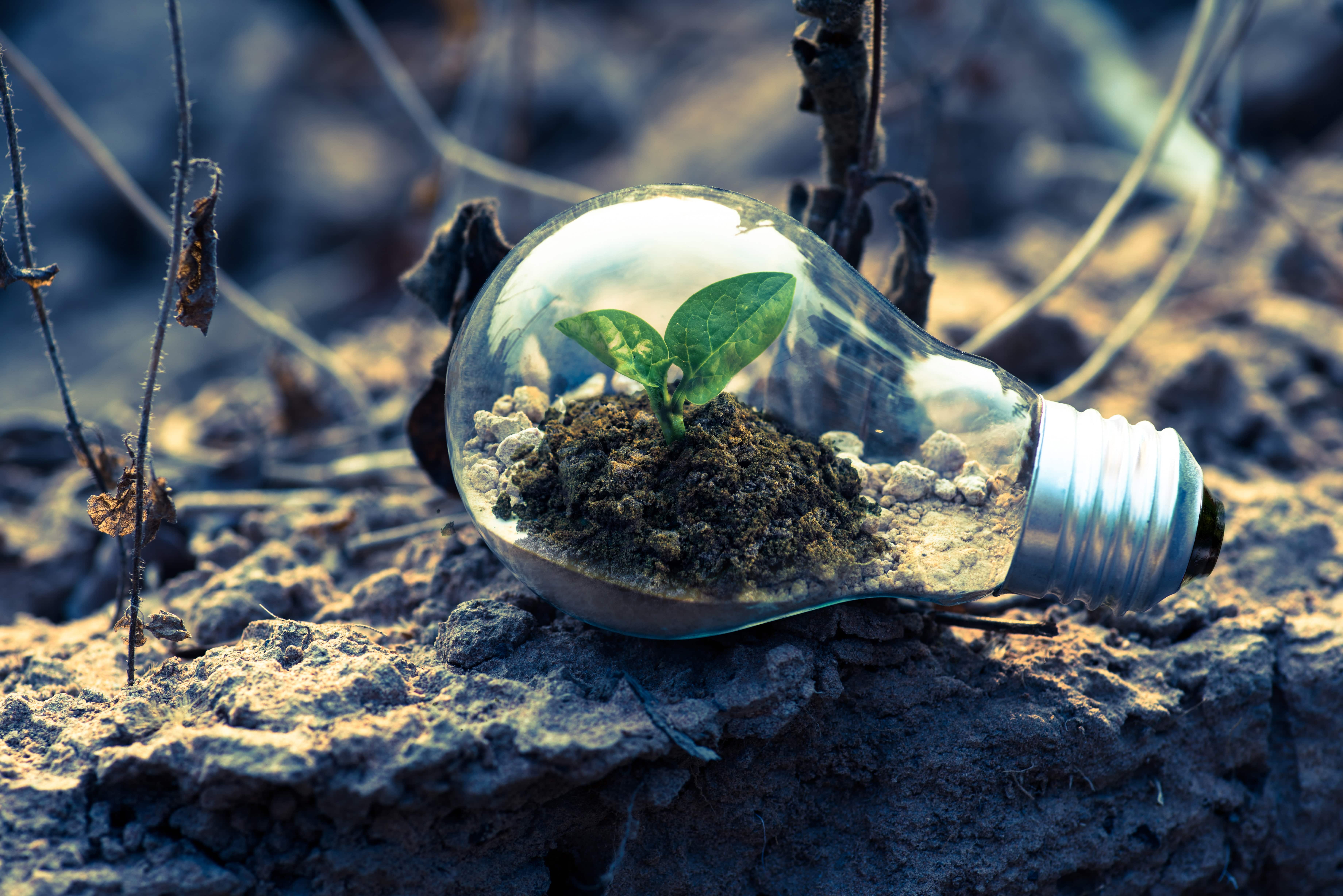 CDG Capital devient membre de l’UNEP FI