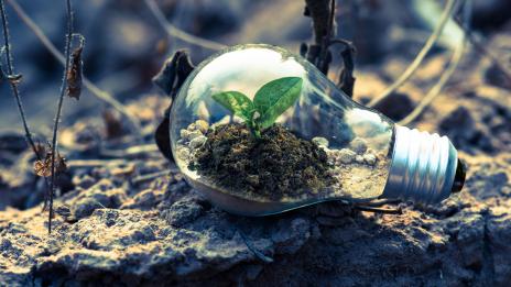 CDG Capital devient membre de l’UNEP FI